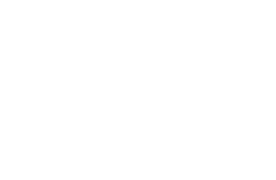 LOVEBERRY - Yaban Mersini - Mavi Yemiş - Blueberry