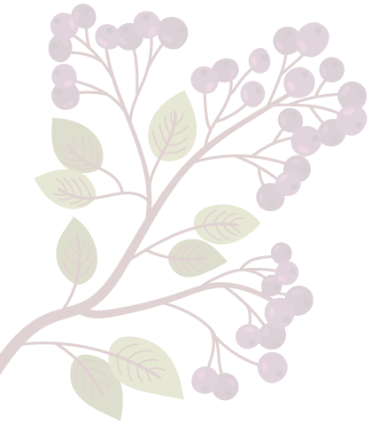 LOVEBERRY - Yaban Mersini - Mavi Yemiş - Blueberry